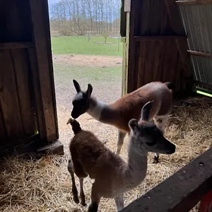 Farm stay Farm